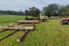 IMG-20250910-WA0004